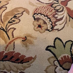 Meet your Posher, Sandy